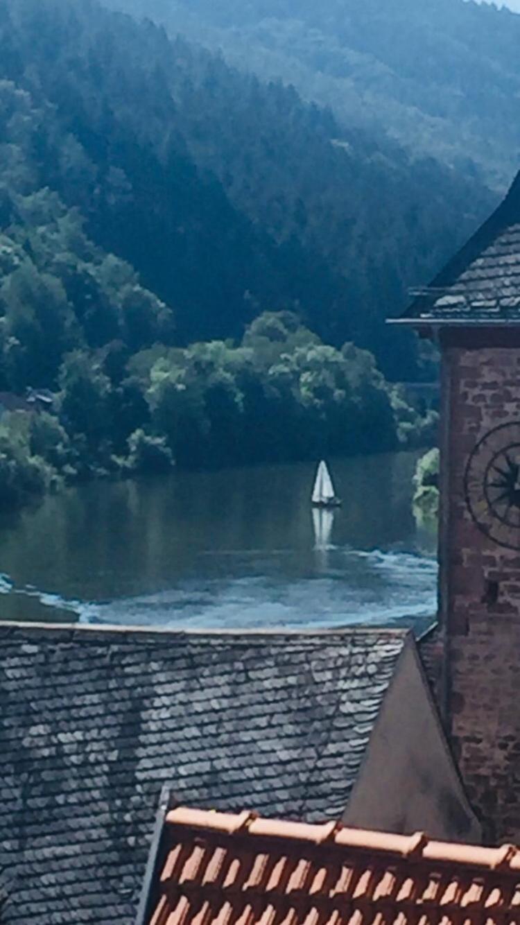 Natur Und Neckarblick Bei Heidelberg Hirschhorn Exterior photo