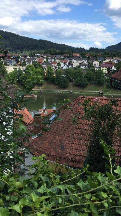 Natur Und Neckarblick Bei Heidelberg Hirschhorn Exterior photo