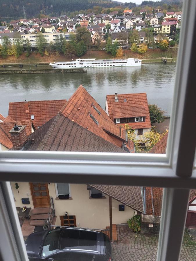 Natur Und Neckarblick Bei Heidelberg Hirschhorn Exterior photo