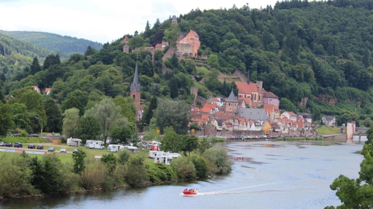 Natur Und Neckarblick Bei Heidelberg Hirschhorn Exterior photo