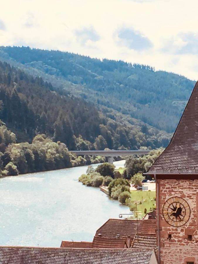 Natur Und Neckarblick Bei Heidelberg Hirschhorn Exterior photo