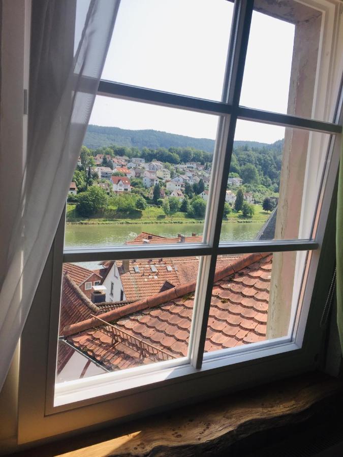 Natur Und Neckarblick Bei Heidelberg Hirschhorn Exterior photo