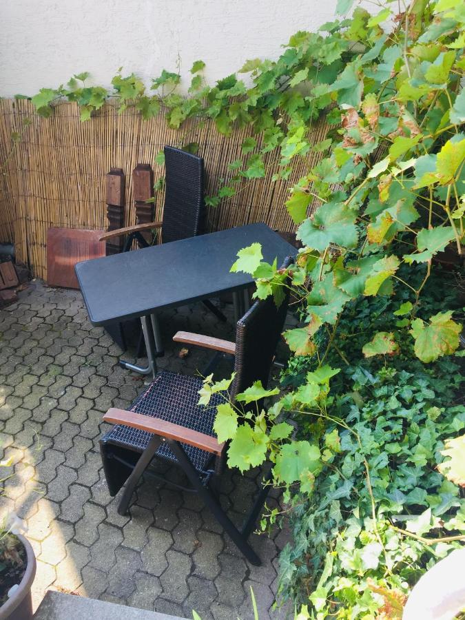 Natur Und Neckarblick Bei Heidelberg Hirschhorn Exterior photo