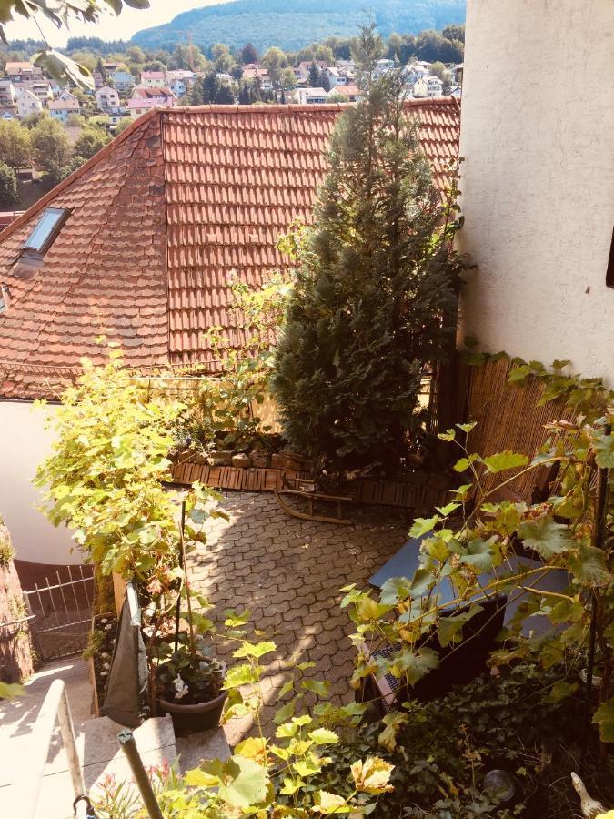 Natur Und Neckarblick Bei Heidelberg Hirschhorn Exterior photo