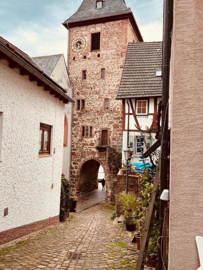 Natur Und Neckarblick Bei Heidelberg Hirschhorn Exterior photo