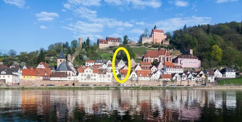Natur Und Neckarblick Bei Heidelberg Hirschhorn Exterior photo