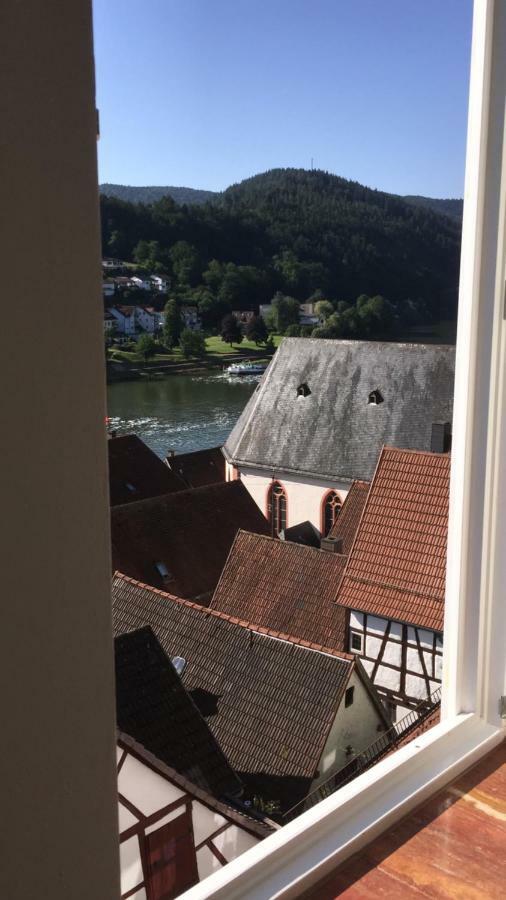 Natur Und Neckarblick Bei Heidelberg Hirschhorn Exterior photo
