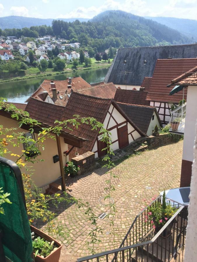 Natur Und Neckarblick Bei Heidelberg Hirschhorn Exterior photo